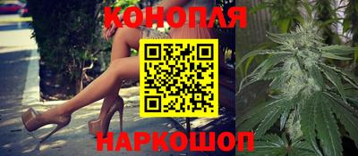 mdpv Краснознаменск