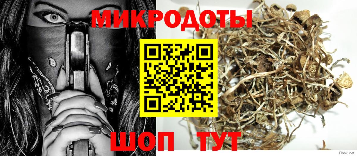 даркнет сайт  Псилоцибиновые грибы GOLDEN TEACHER  Вход с VPN  Ейск 
